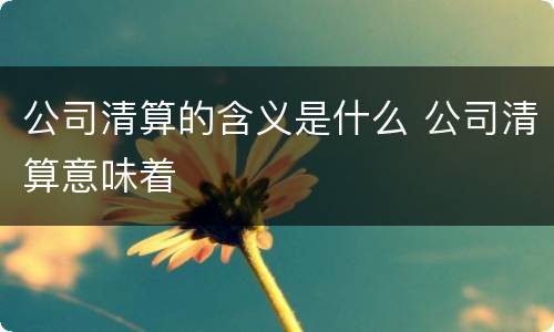 公司清算的含义是什么 公司清算意味着