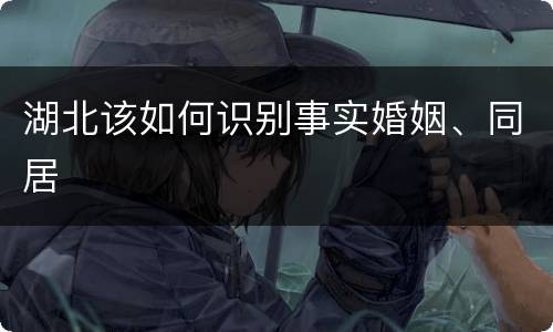 湖北该如何识别事实婚姻、同居