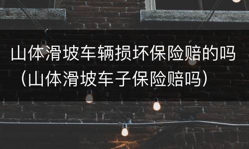 山体滑坡车辆损坏保险赔的吗（山体滑坡车子保险赔吗）