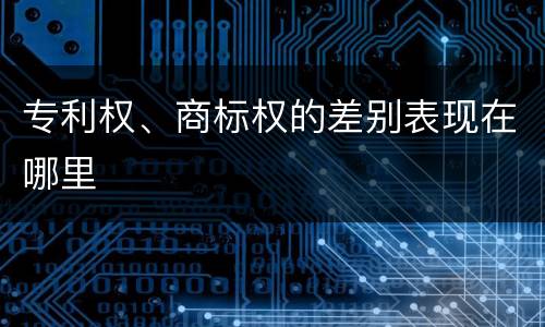 专利权、商标权的差别表现在哪里