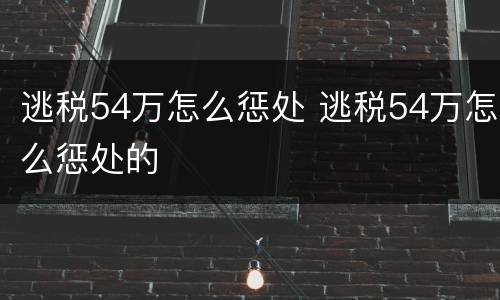逃税54万怎么惩处 逃税54万怎么惩处的