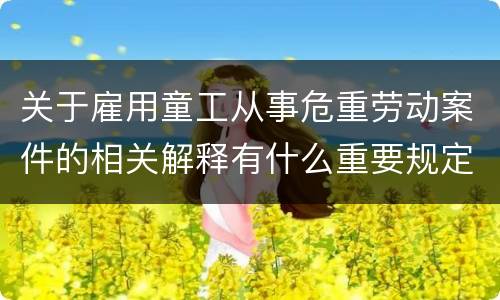 关于雇用童工从事危重劳动案件的相关解释有什么重要规定