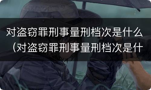对盗窃罪刑事量刑档次是什么（对盗窃罪刑事量刑档次是什么标准）