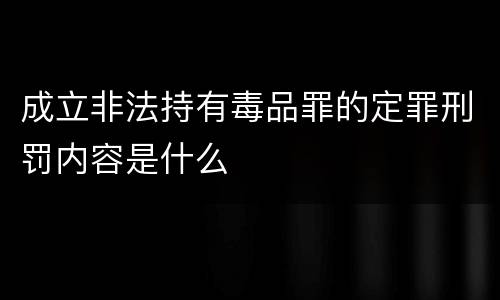 成立非法持有毒品罪的定罪刑罚内容是什么