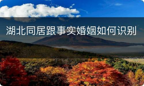湖北同居跟事实婚姻如何识别