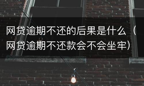 网贷逾期不还的后果是什么（网贷逾期不还款会不会坐牢）