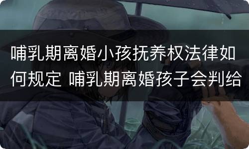 哺乳期离婚小孩抚养权法律如何规定 哺乳期离婚孩子会判给谁以及抚养费