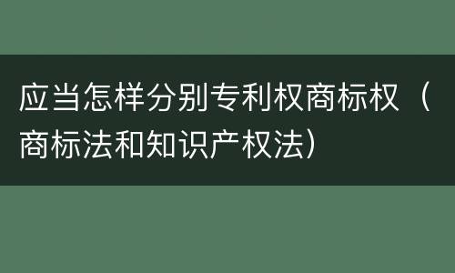 应当怎样分别专利权商标权（商标法和知识产权法）
