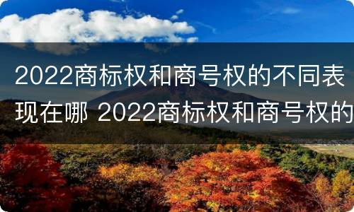 2022商标权和商号权的不同表现在哪 2022商标权和商号权的不同表现在哪方面