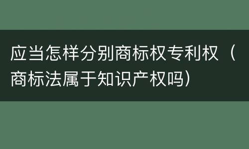 应当怎样分别商标权专利权（商标法属于知识产权吗）