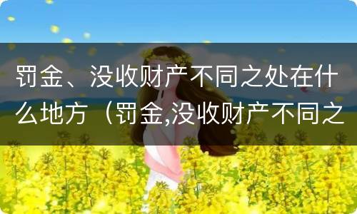 罚金、没收财产不同之处在什么地方（罚金,没收财产不同之处在什么地方执行）
