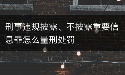 刑事违规披露、不披露重要信息罪怎么量刑处罚