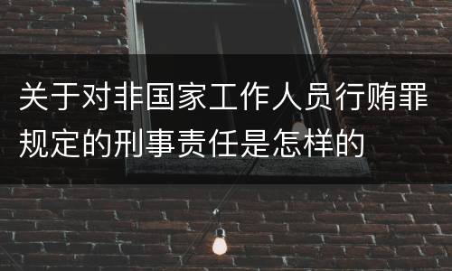 关于对非国家工作人员行贿罪规定的刑事责任是怎样的