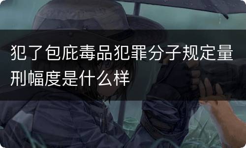 犯了包庇毒品犯罪分子规定量刑幅度是什么样