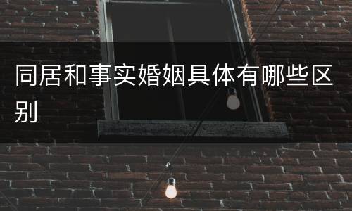 同居和事实婚姻具体有哪些区别