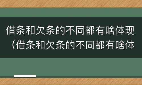 借条和欠条的不同都有啥体现（借条和欠条的不同都有啥体现呢）