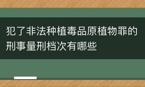 犯了非法种植毒品原植物罪的刑事量刑档次有哪些