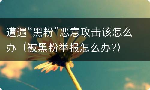 遭遇“黑粉”恶意攻击该怎么办（被黑粉举报怎么办?）