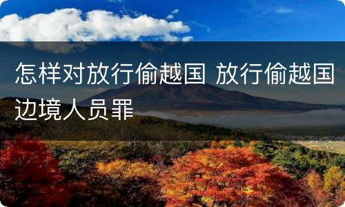 怎样对放行偷越国 放行偷越国边境人员罪