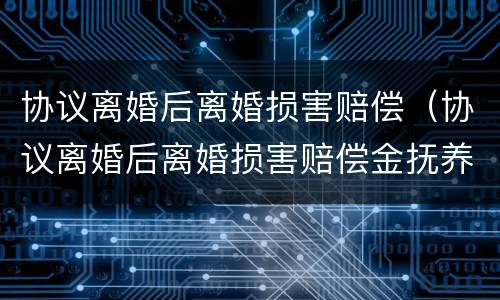 协议离婚后离婚损害赔偿（协议离婚后离婚损害赔偿金抚养费判决书）