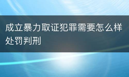 成立暴力取证犯罪需要怎么样处罚判刑