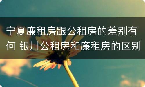 宁夏廉租房跟公租房的差别有何 银川公租房和廉租房的区别
