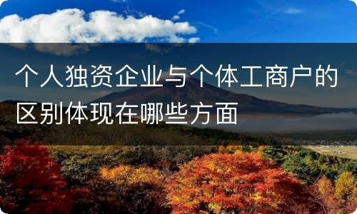个人独资企业与个体工商户的区别体现在哪些方面
