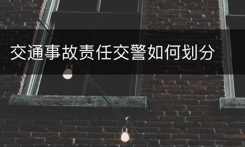 交通事故责任交警如何划分