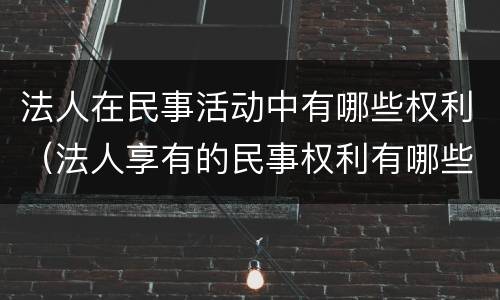 法人在民事活动中有哪些权利（法人享有的民事权利有哪些）