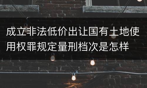 成立非法低价出让国有土地使用权罪规定量刑档次是怎样