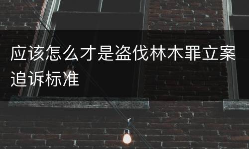 应该怎么才是盗伐林木罪立案追诉标准