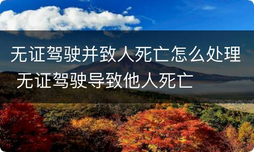 无证驾驶并致人死亡怎么处理 无证驾驶导致他人死亡