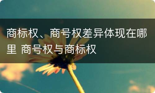 商标权、商号权差异体现在哪里 商号权与商标权