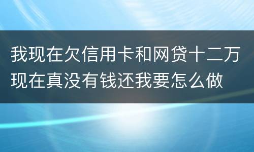 我现在欠信用卡和网贷十二万现在真没有钱还我要怎么做