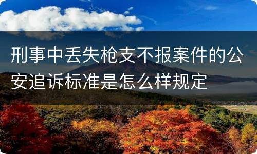 刑事中丢失枪支不报案件的公安追诉标准是怎么样规定