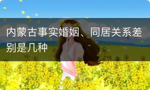 内蒙古事实婚姻、同居关系差别是几种
