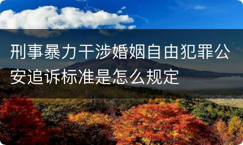 刑事暴力干涉婚姻自由犯罪公安追诉标准是怎么规定