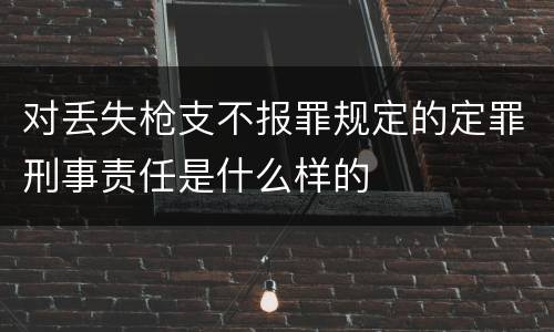 对丢失枪支不报罪规定的定罪刑事责任是什么样的
