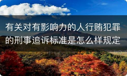 有关对有影响力的人行贿犯罪的刑事追诉标准是怎么样规定