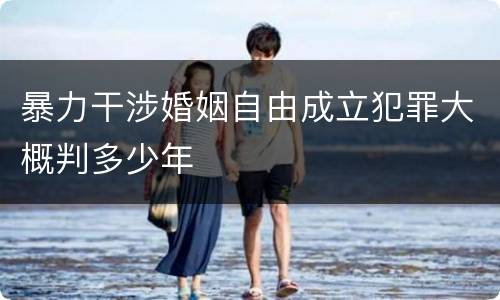 暴力干涉婚姻自由成立犯罪大概判多少年