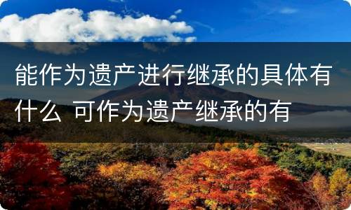 能作为遗产进行继承的具体有什么 可作为遗产继承的有