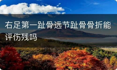 右足第一趾骨远节趾骨骨折能评伤残吗