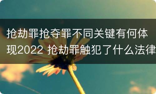 抢劫罪抢夺罪不同关键有何体现2022 抢劫罪触犯了什么法律