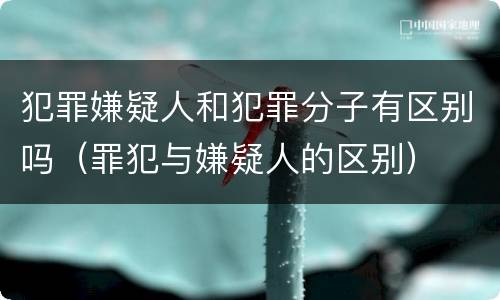 犯罪嫌疑人和犯罪分子有区别吗（罪犯与嫌疑人的区别）