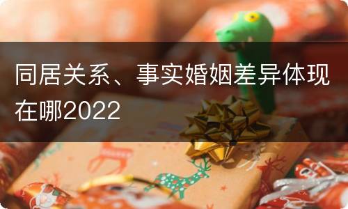 同居关系、事实婚姻差异体现在哪2022