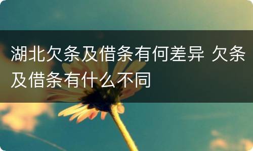 湖北欠条及借条有何差异 欠条及借条有什么不同