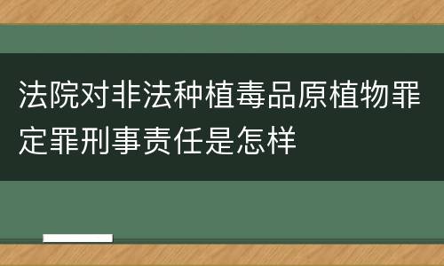 法院对非法种植毒品原植物罪定罪刑事责任是怎样
