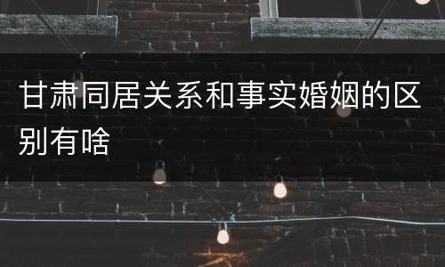 甘肃同居关系和事实婚姻的区别有啥