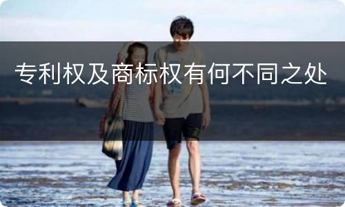 专利权及商标权有何不同之处