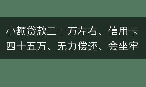 小额贷款二十万左右、信用卡四十五万、无力偿还、会坐牢